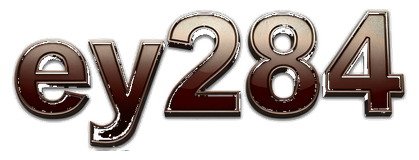 ey284 logo